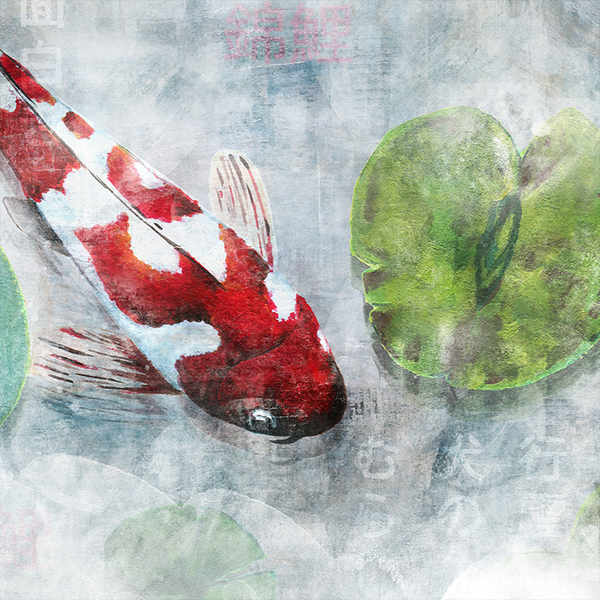 KOI